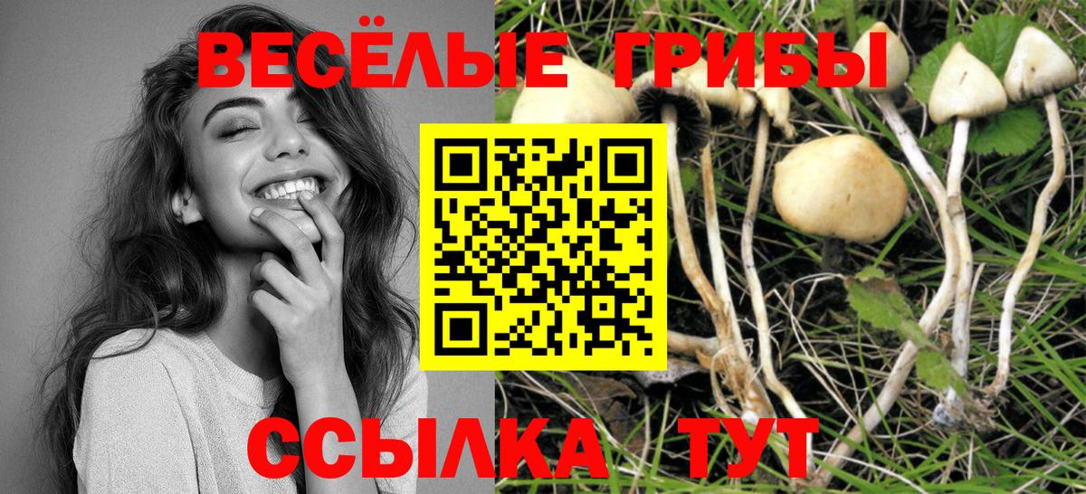 Псилоцибиновые грибы прущие грибы Вязьма
