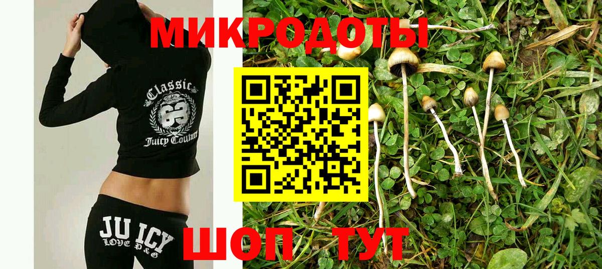 Вязьма  Галлюциногенные грибы ЛСД  Вход с VPN  Псилоцибиновые грибы Psilocybine cubensis 
